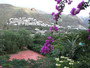 Das Barranca de Agaete das grünste Tal auf Gran Canaria