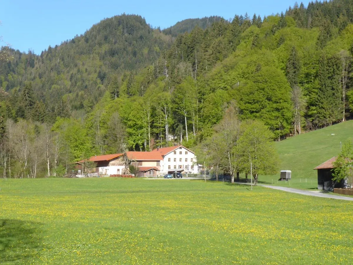 Nähe zur Wannenjochbahn: 3 Familienhotels im Vergleich