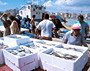 Essen und Trinken im Urlaub - Fischmarkt in Cambrils