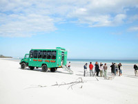 Urlaubin Australien- Queensland. Foto: Desiree Schubert