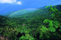 Kuba - üppig grün präsentiert sich die Sierra Maestra