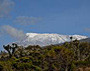 Kilimanjaro